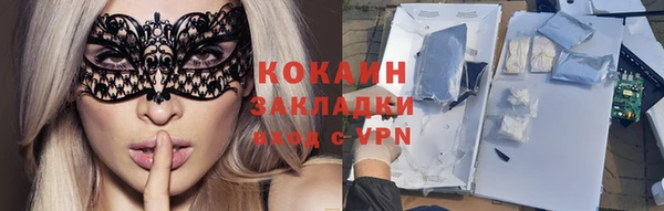 гашик Ветлуга