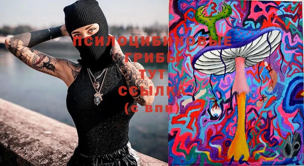 тгк Новозыбков