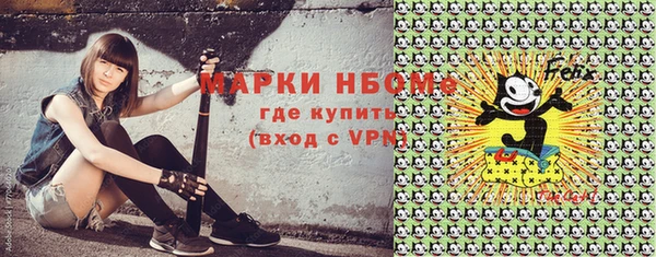 тгк Новозыбков