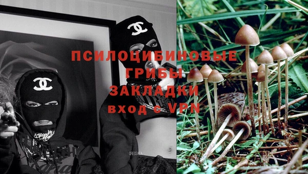 тгк Новозыбков
