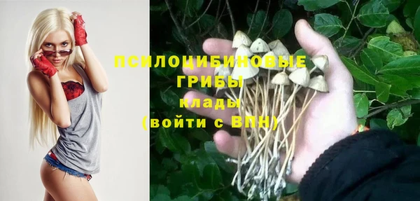 каннабис Новокубанск
