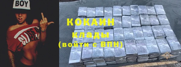 тгк Новозыбков